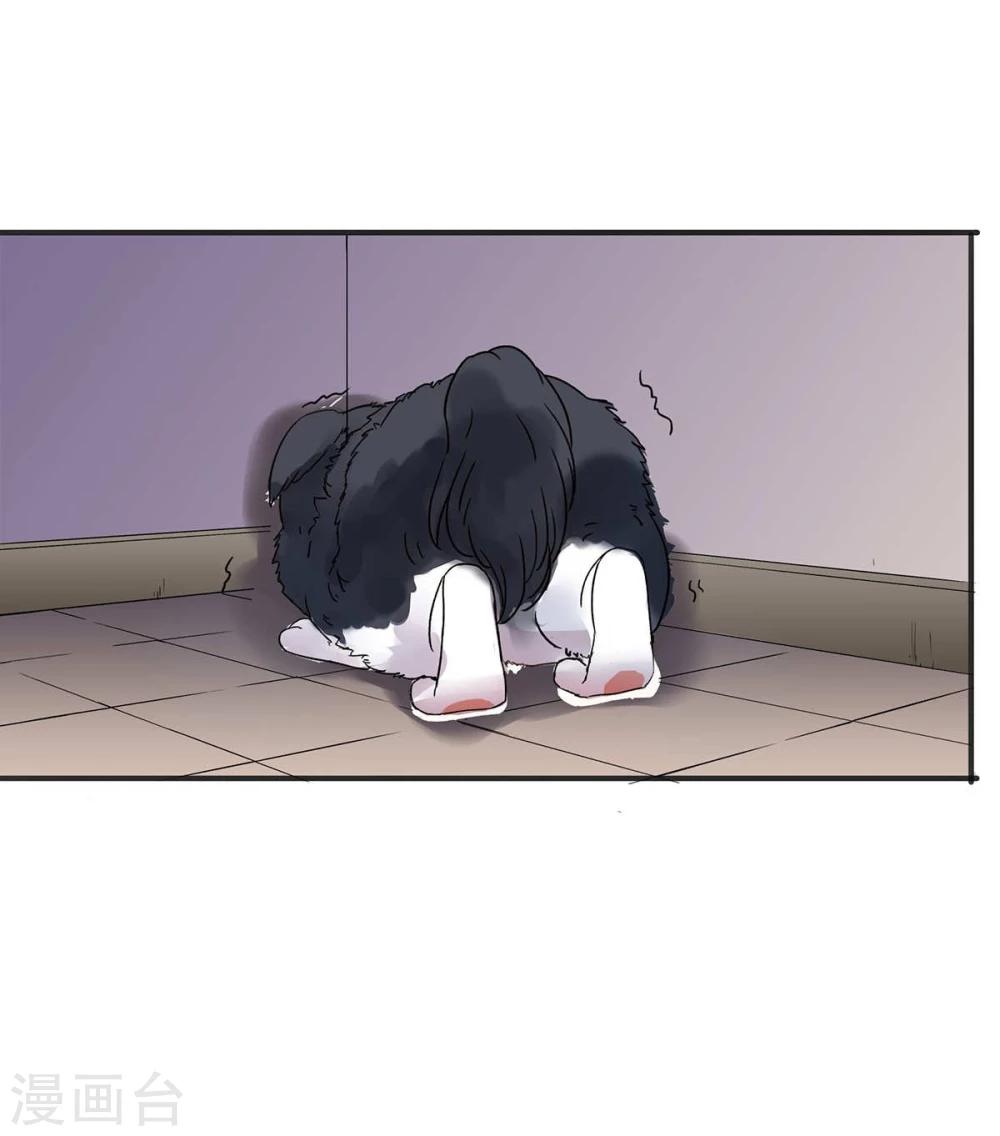 第5话19