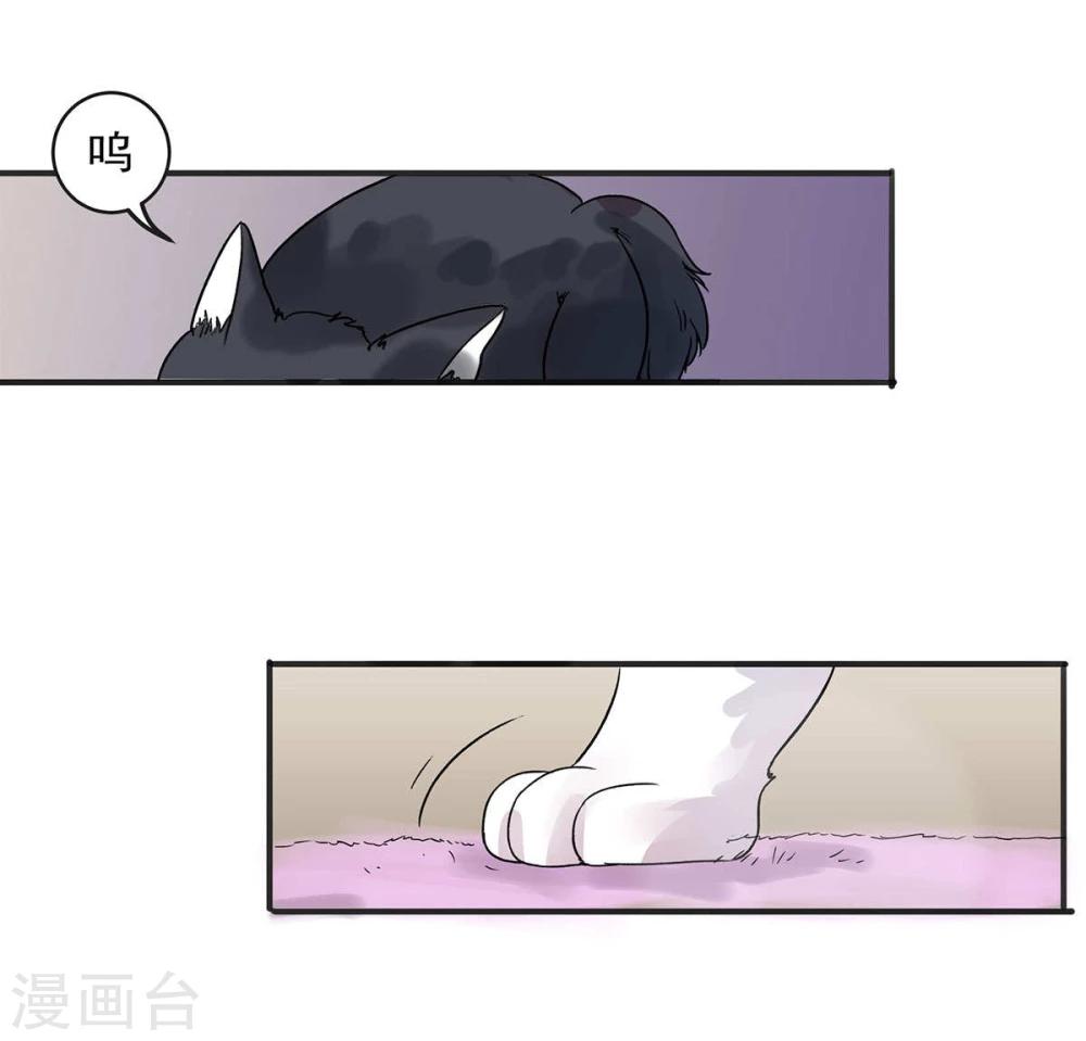 第5话17