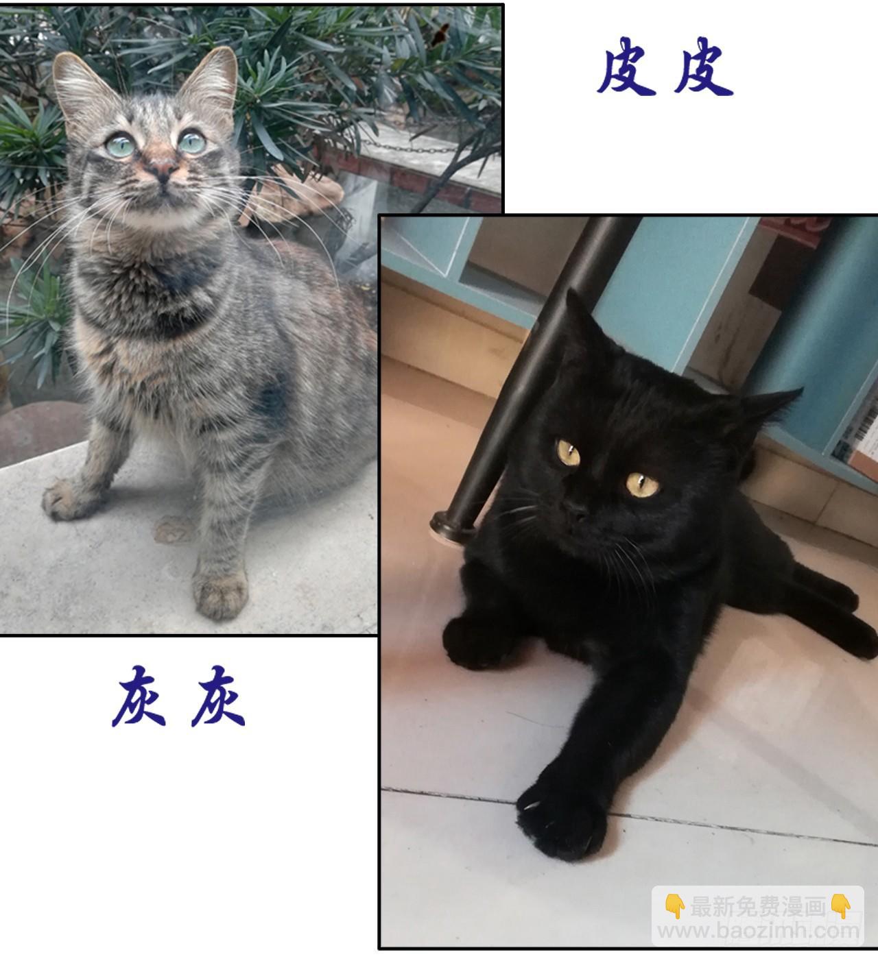 劫财杀人，苍生何辜29