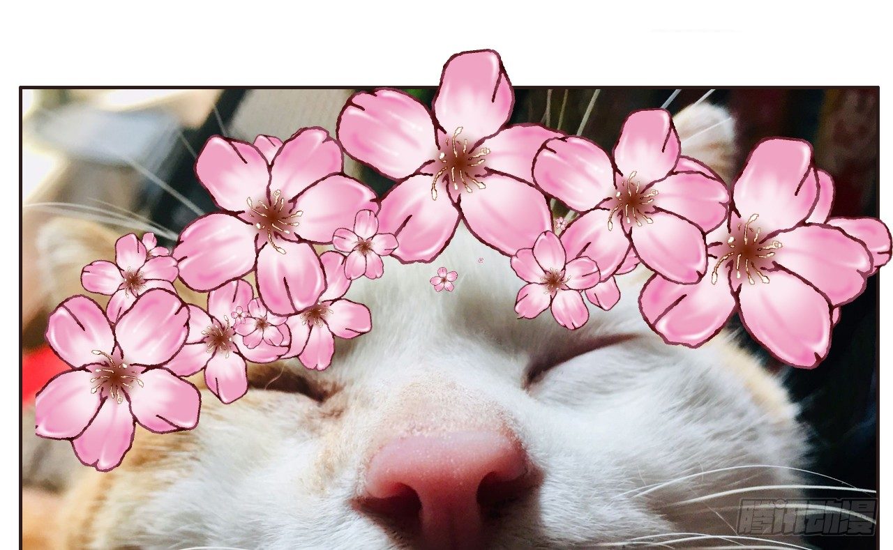美救英雄43