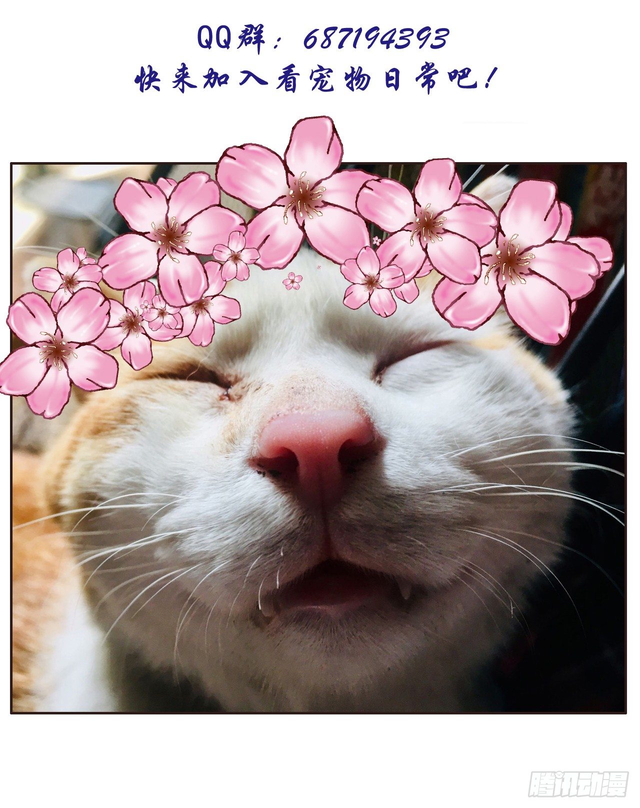 劫财杀人，苍生何辜31