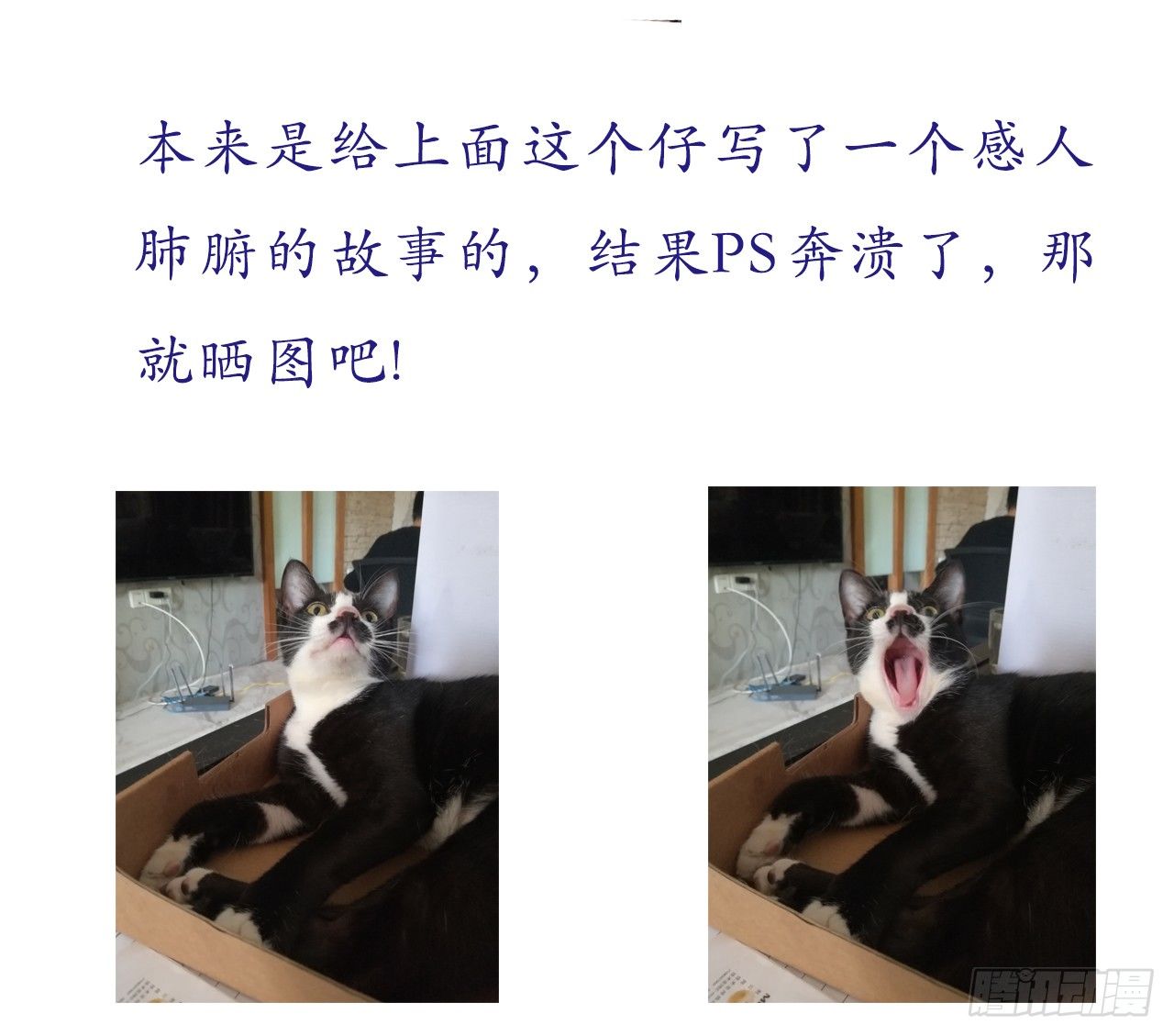 逼杀杨仪洞34