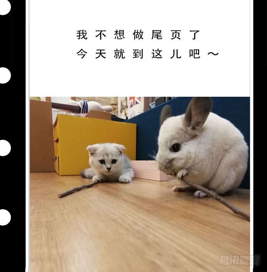 神龙显灵49