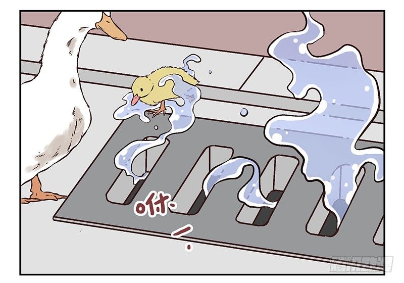 第21话：新扩展技能17
