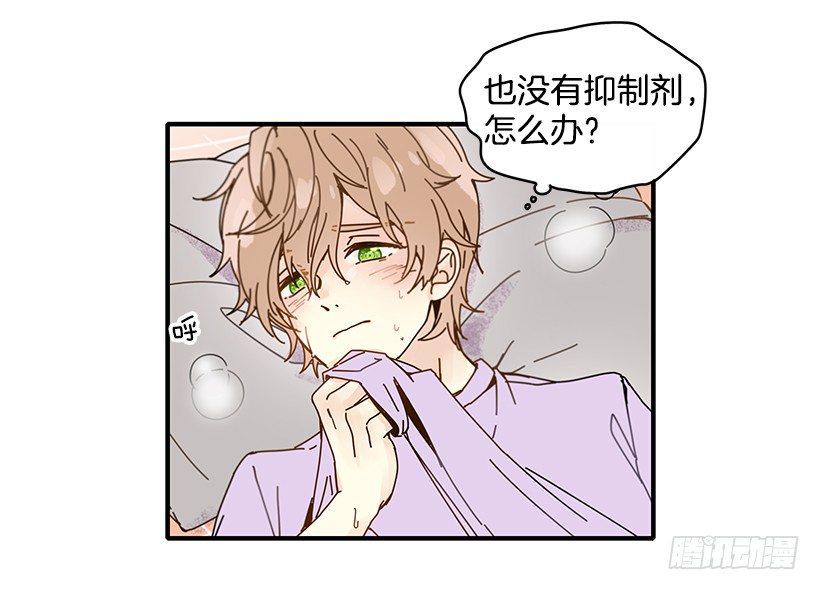 3.我需要你32