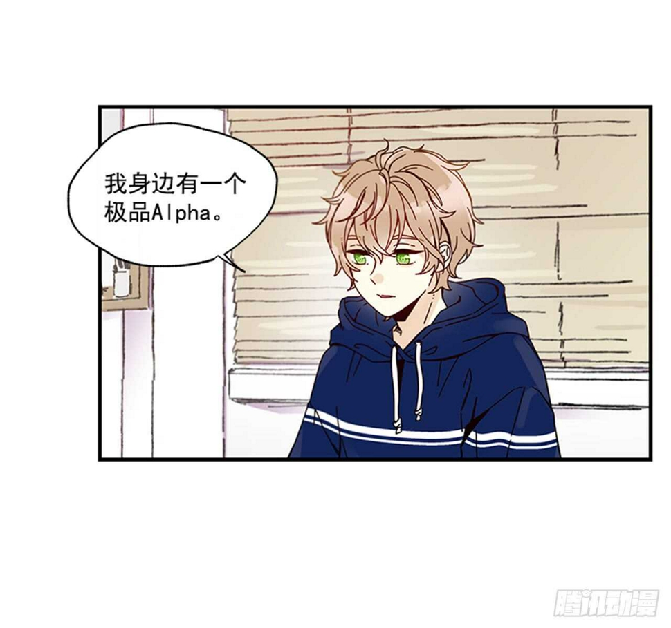 12.信息素沐浴5