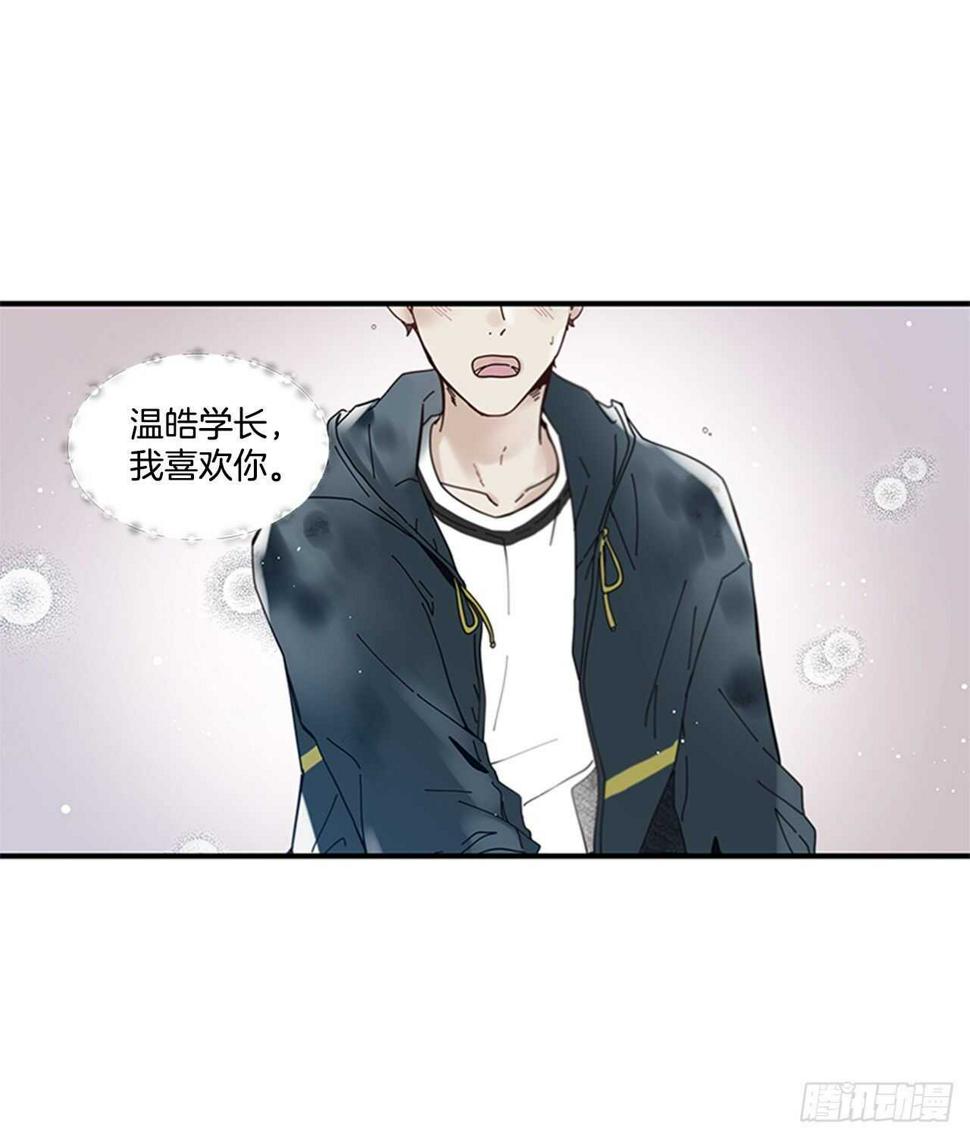 22.本能诱惑4