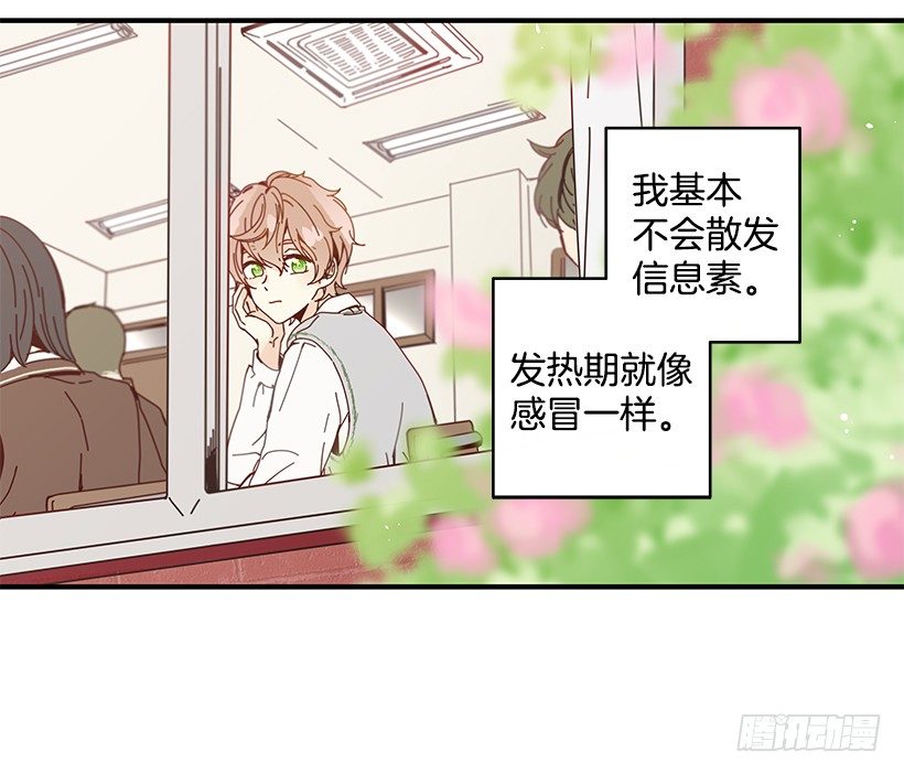 2.你是Alpha吗？8