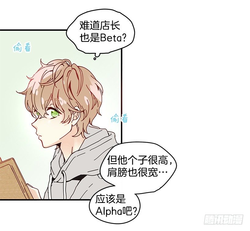 2.你是Alpha吗？23