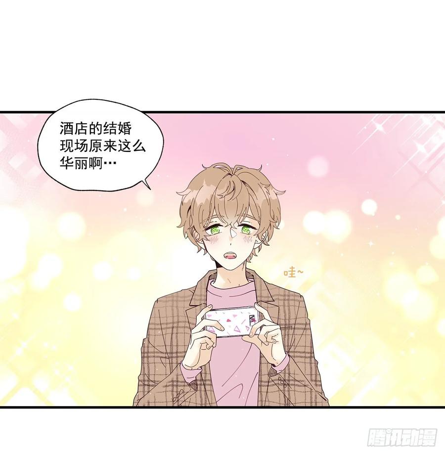 40.我的Alpha3