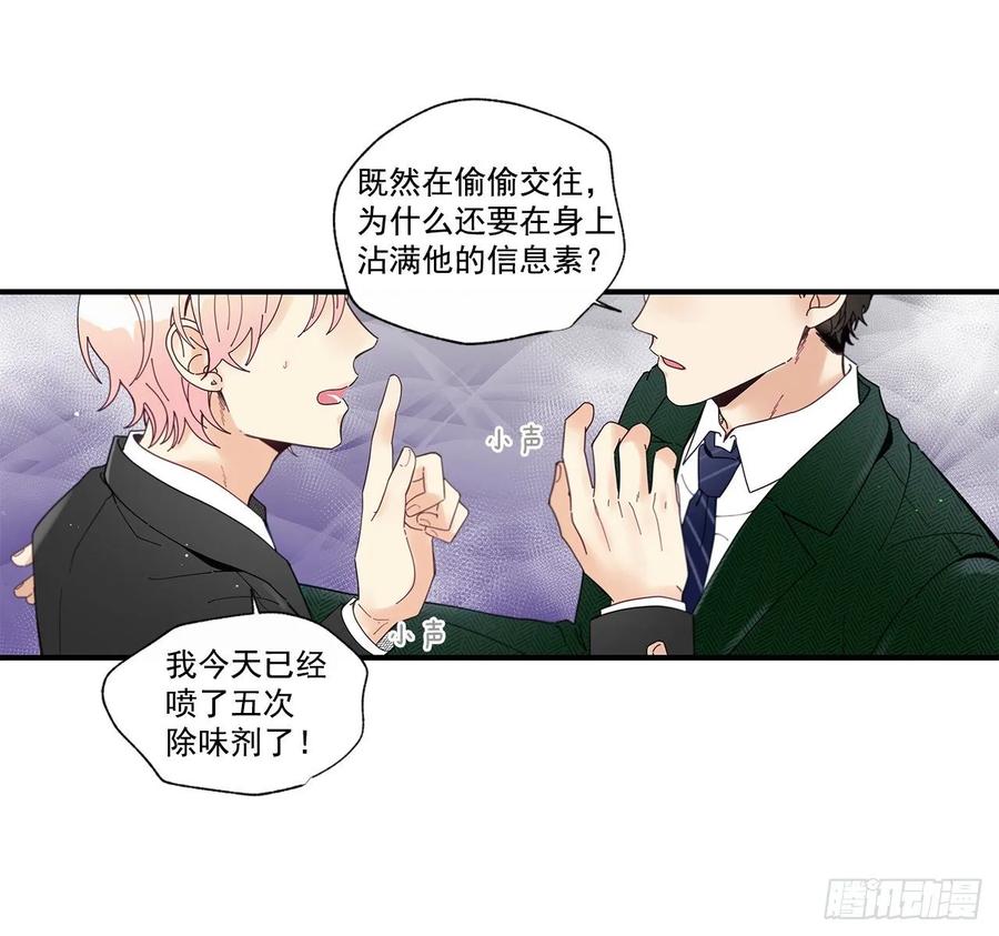 40.我的Alpha30