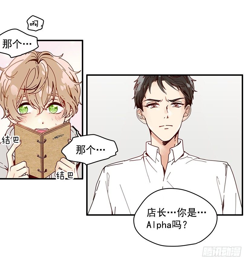 2.你是Alpha吗？29