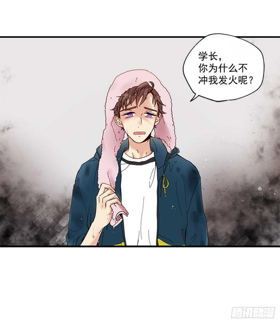 21.迟来的告白8