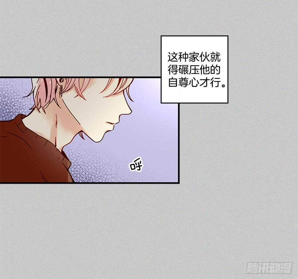 17.热帖31