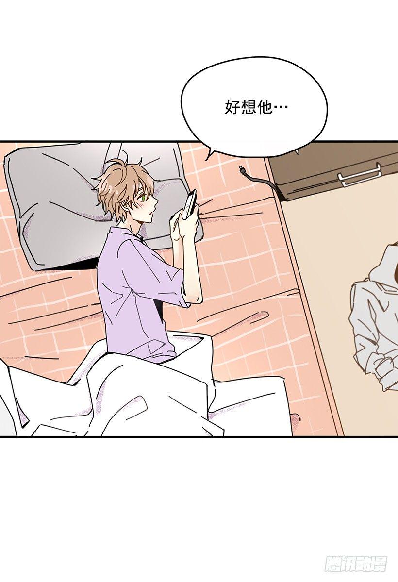 3.我需要你54