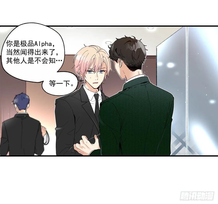 40.我的Alpha31