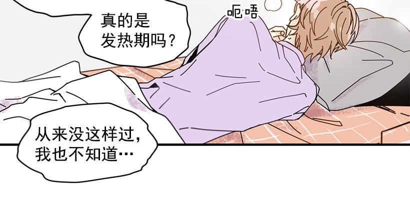 3.我需要你31