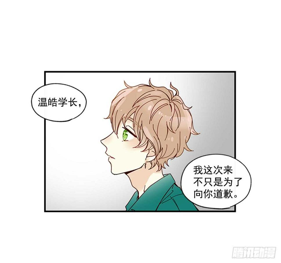21.迟来的告白21