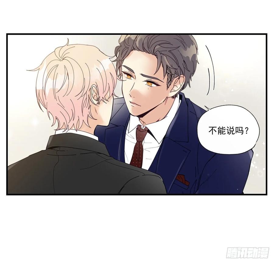 40.我的Alpha40