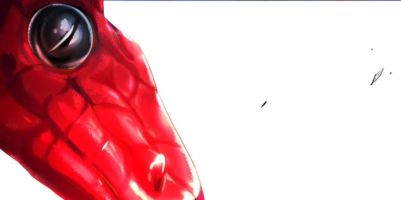 第二话245