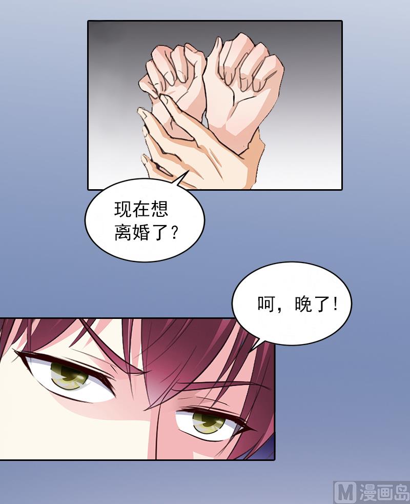 第7话 我们离婚吧20