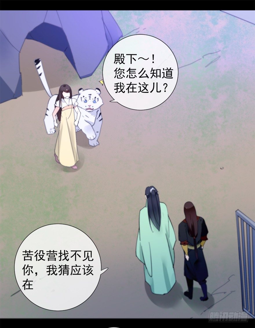 夜访虎园0