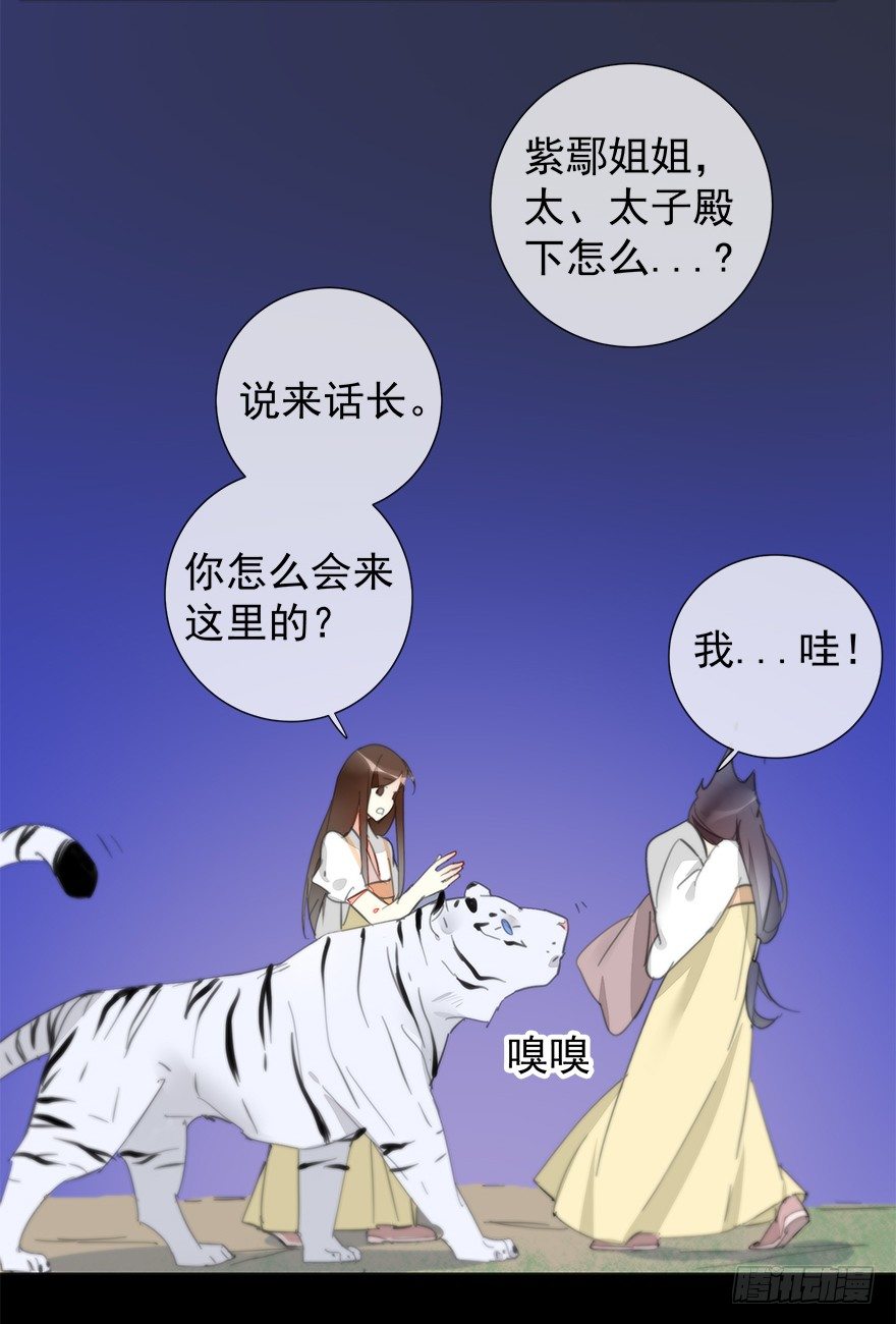 夜访虎园35