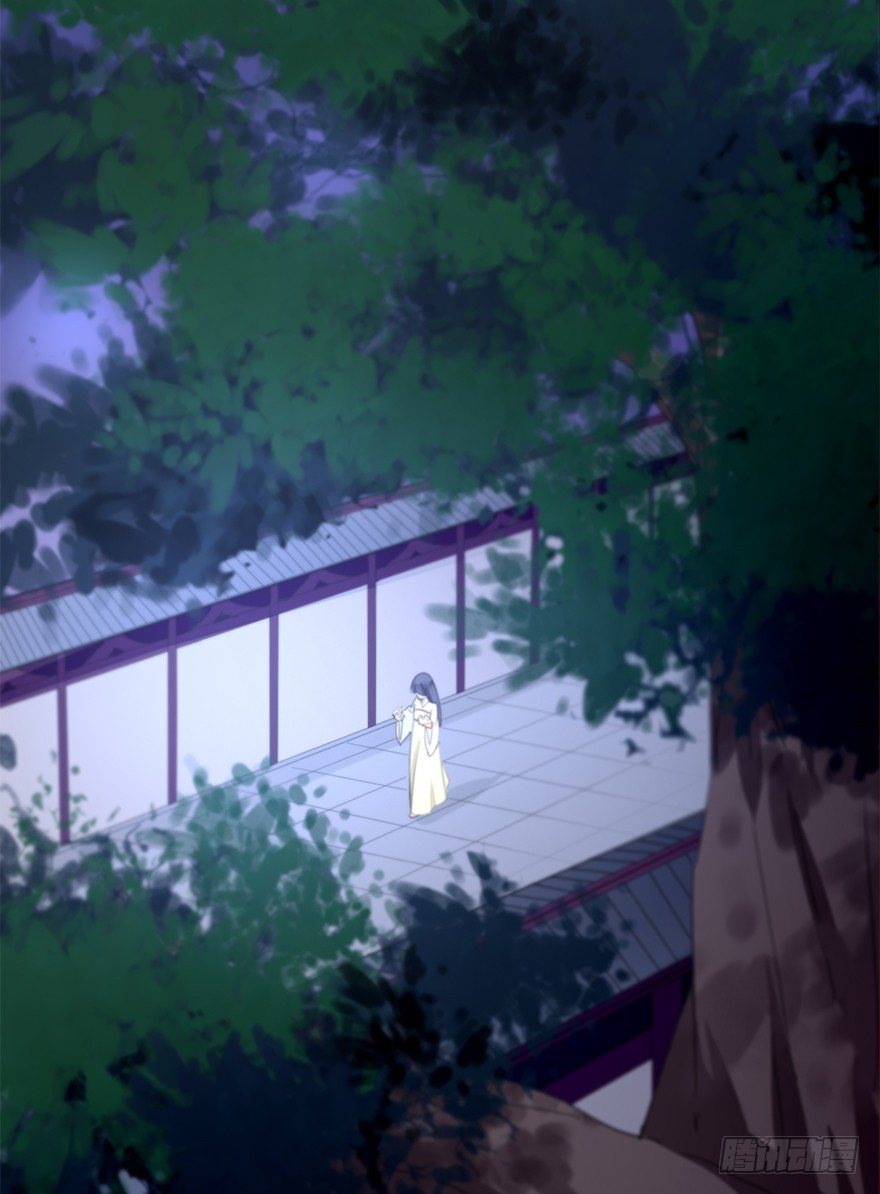 夜访虎园43