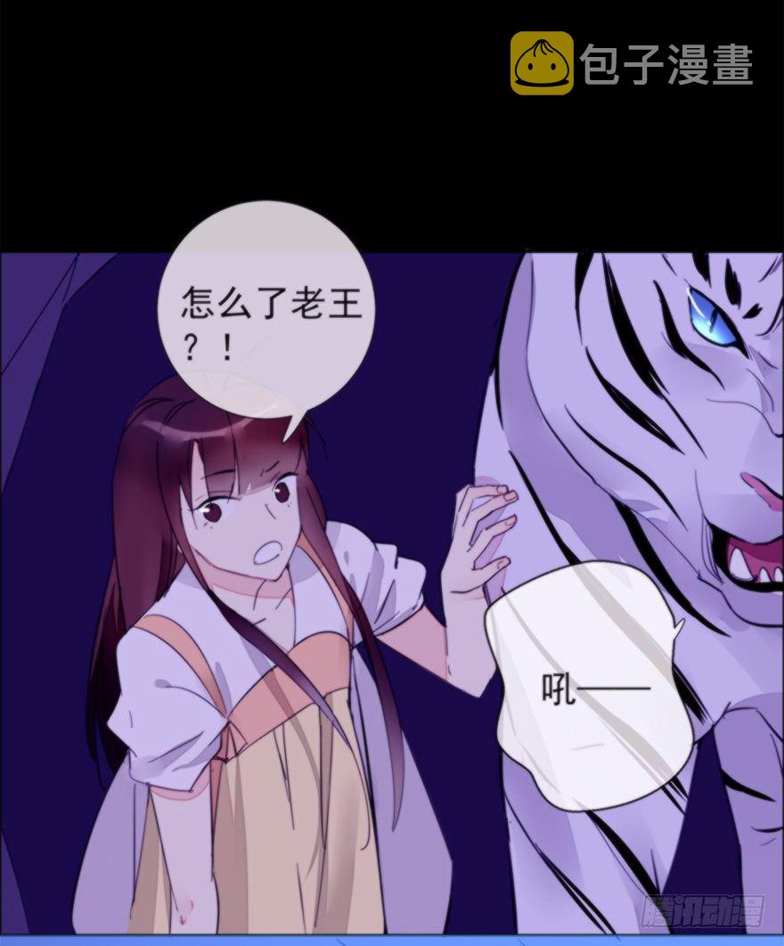 女人和老虎？我选老虎！97