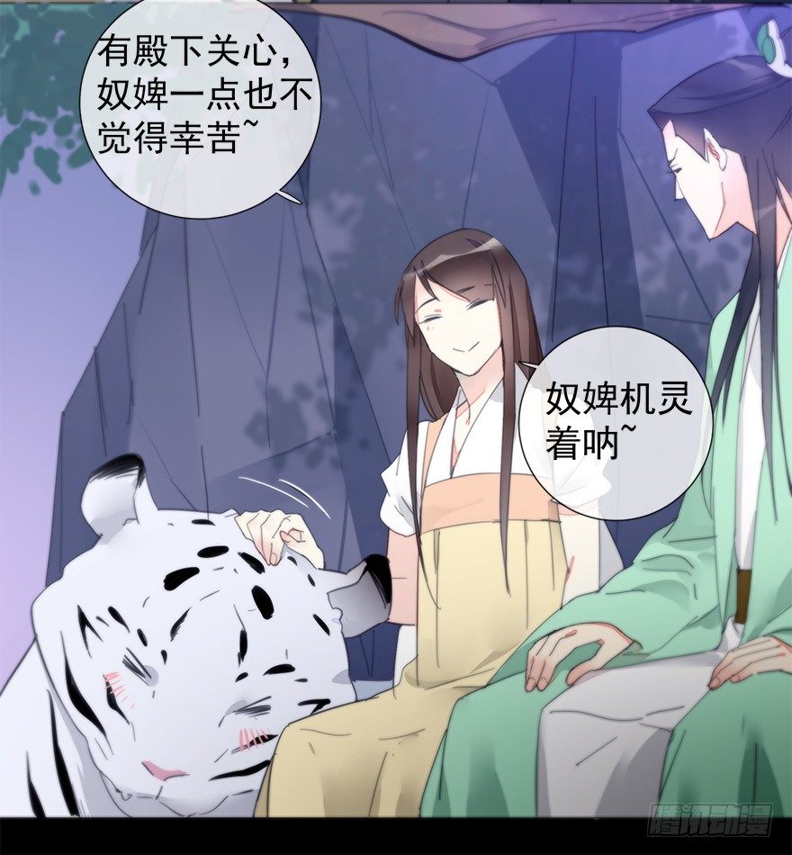 夜访虎园6