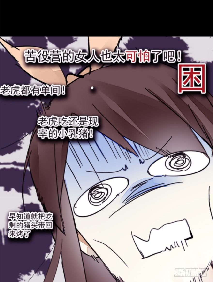 女人和老虎？我选老虎！76