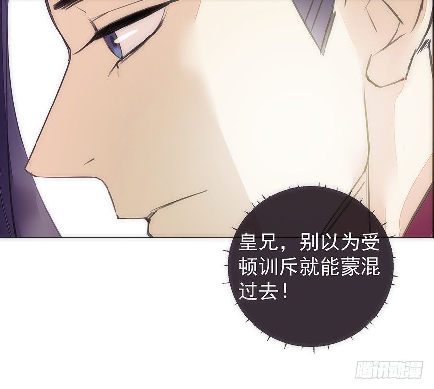 投入虎笼11