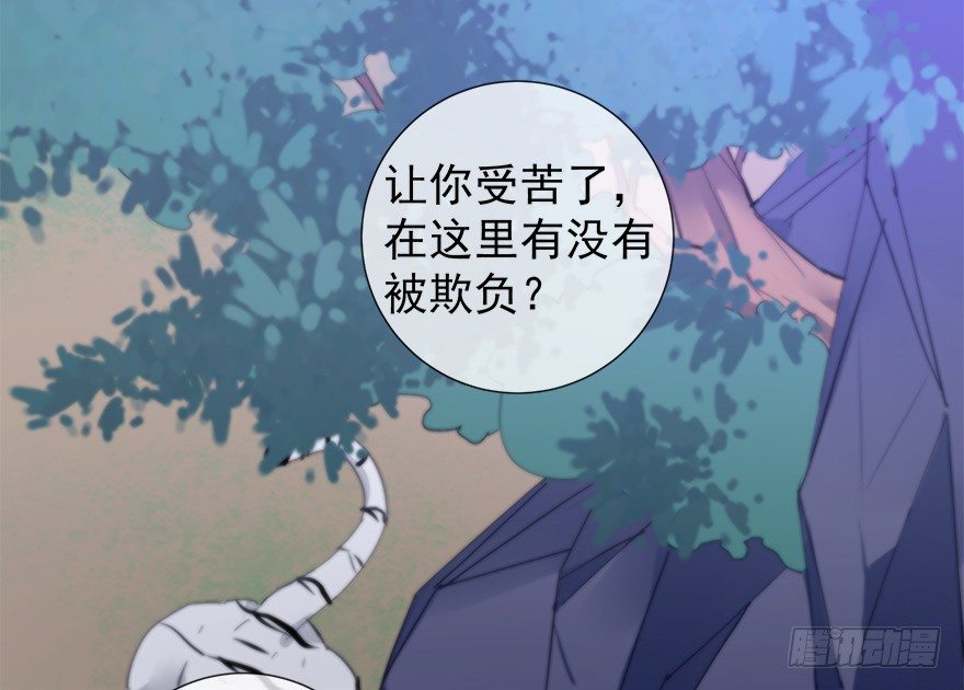 夜访虎园5