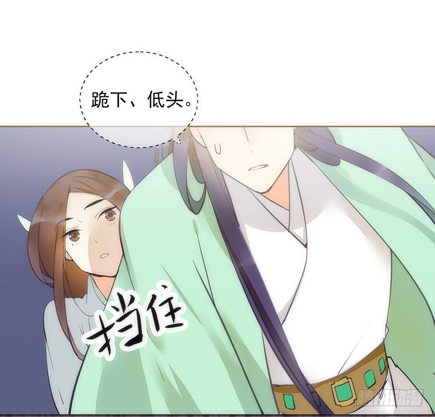 投入虎笼0