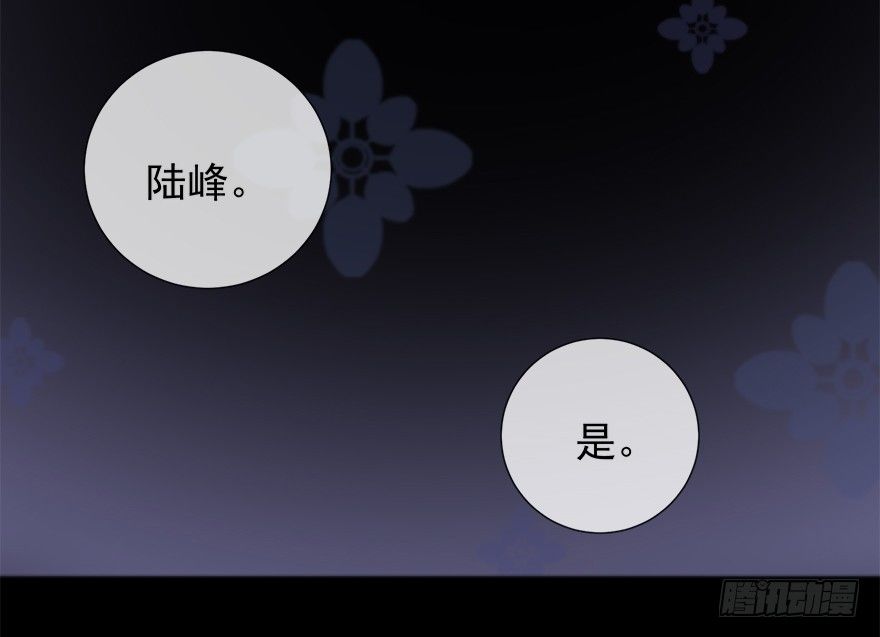 夜访虎园11