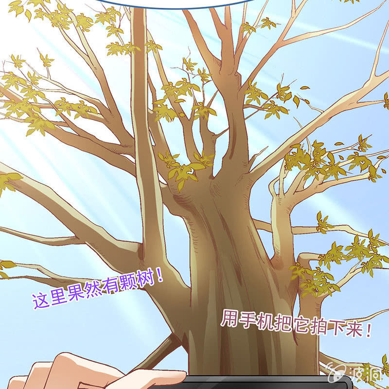 第八十一回26