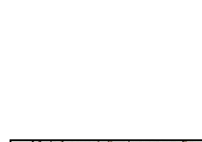 第948话 番外24 卡洛儿画本《跟我走》57