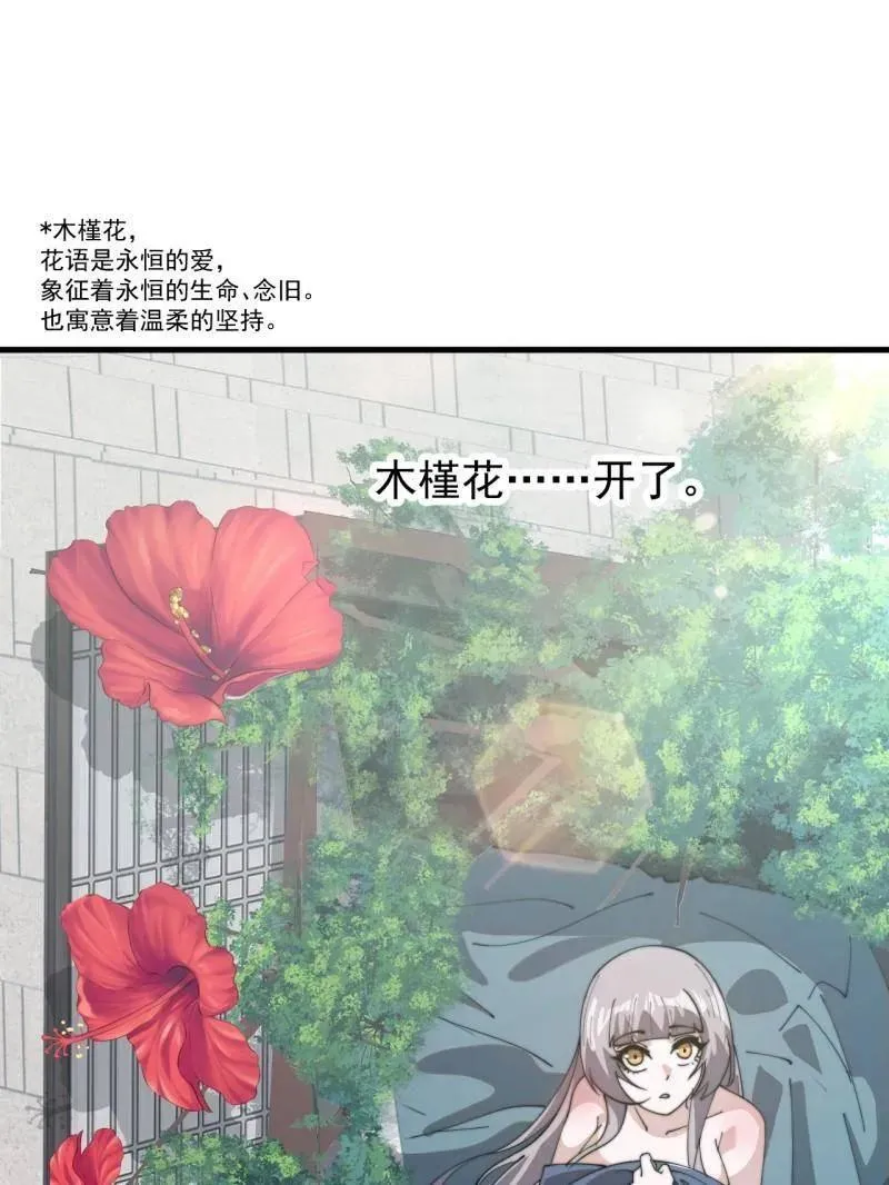 第893话 ：桃夭柳媚85