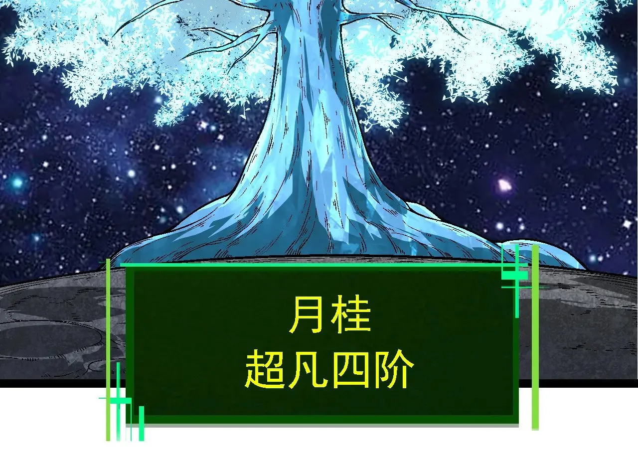 第251话 锋芒43