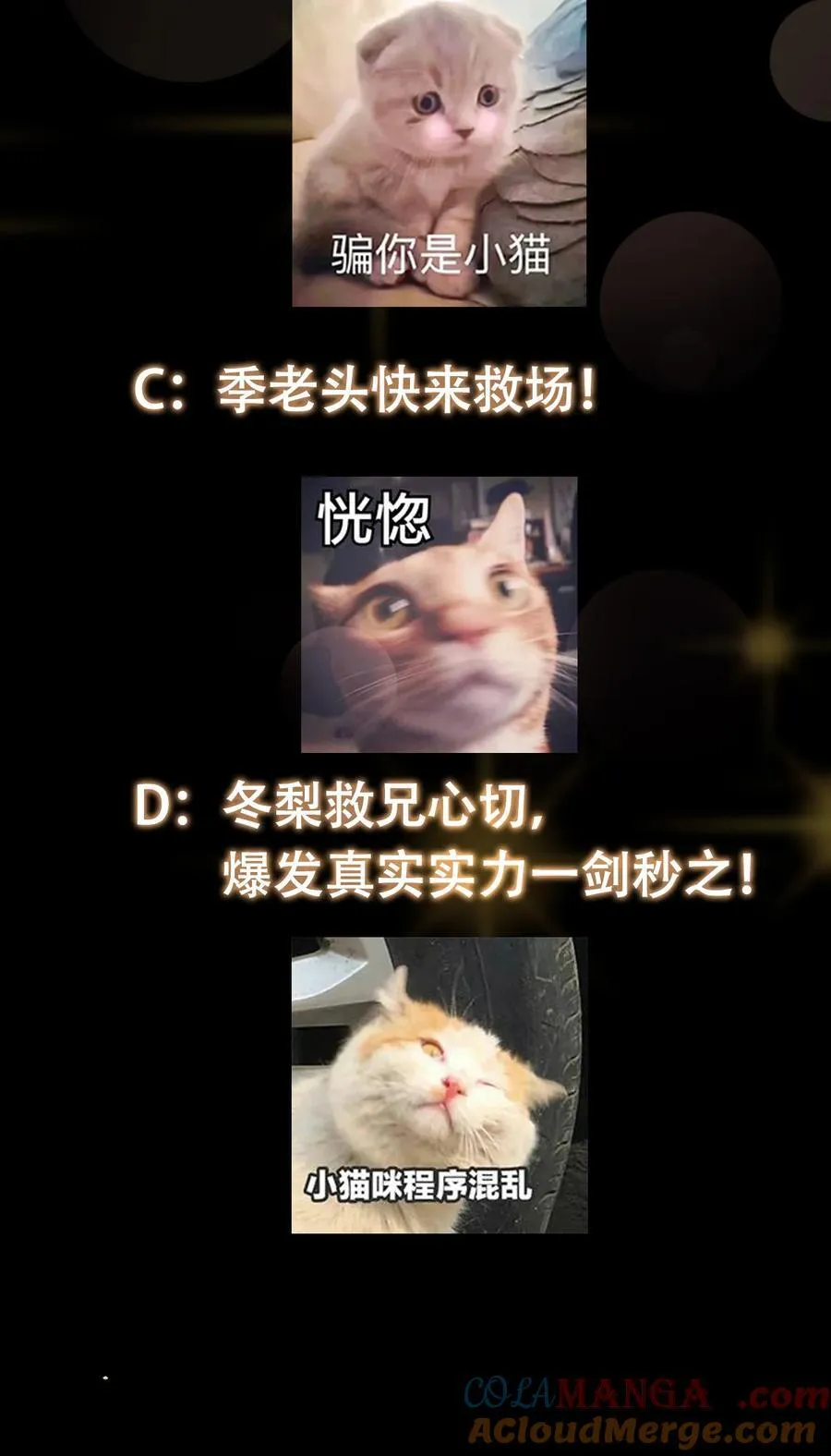 382 其实他一直都清醒！63