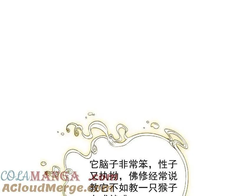第489话 师与徒60