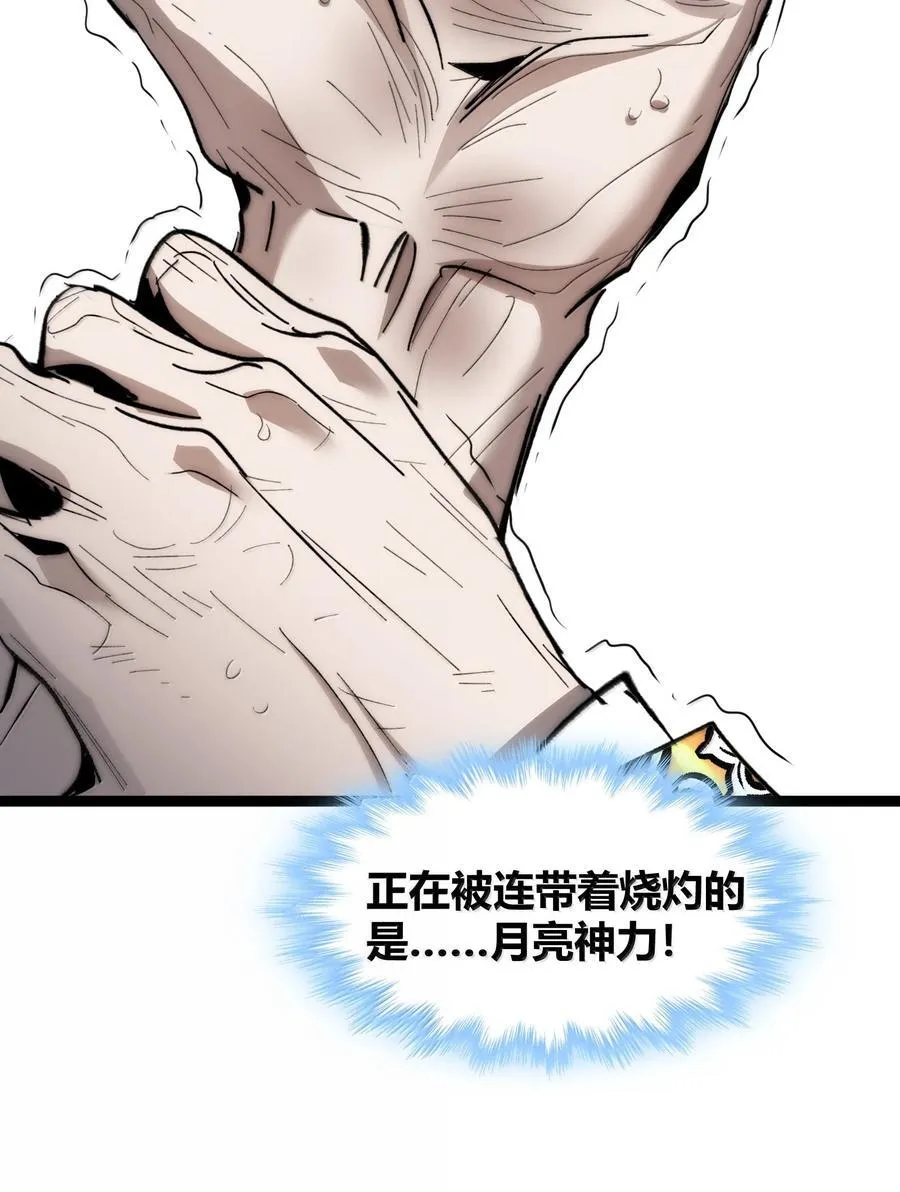 134 银色胎盘58