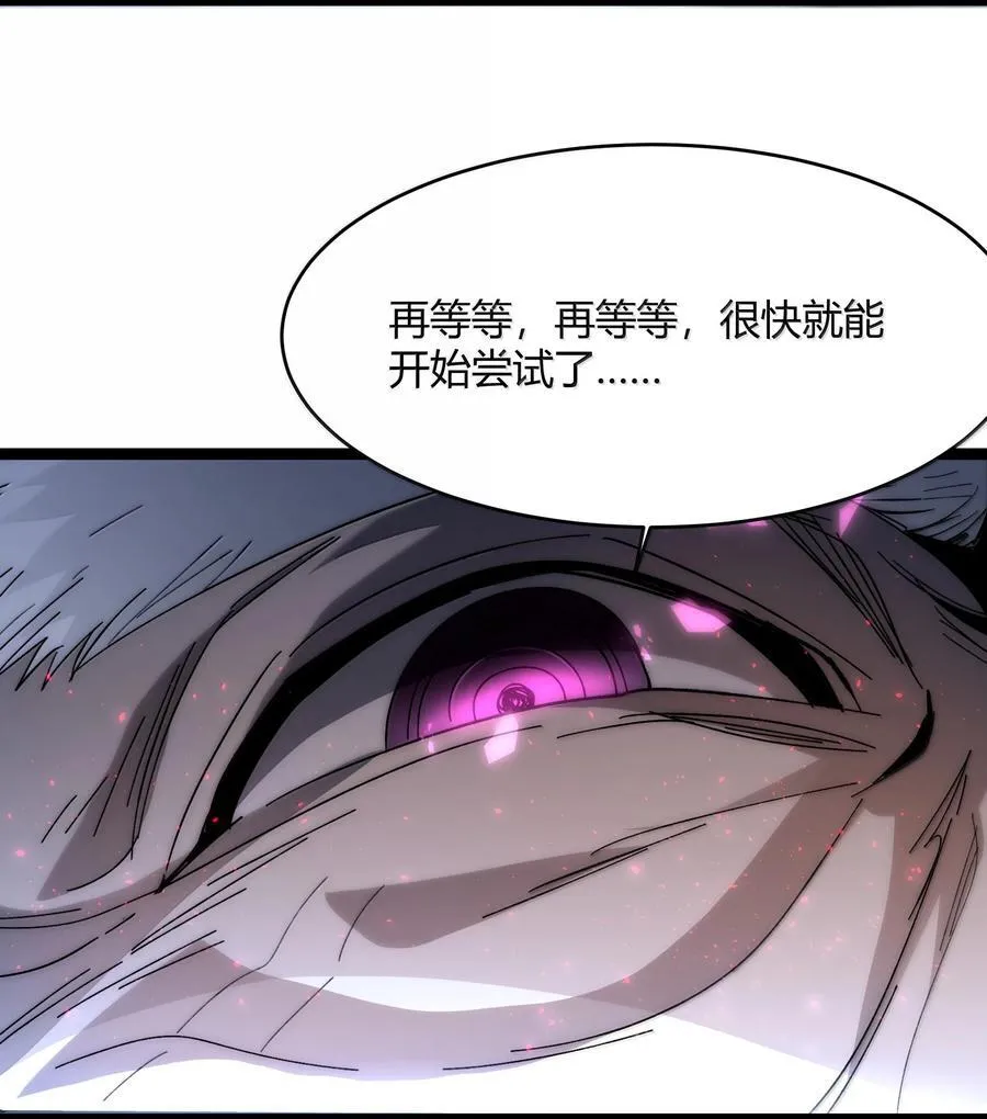 134 银色胎盘31