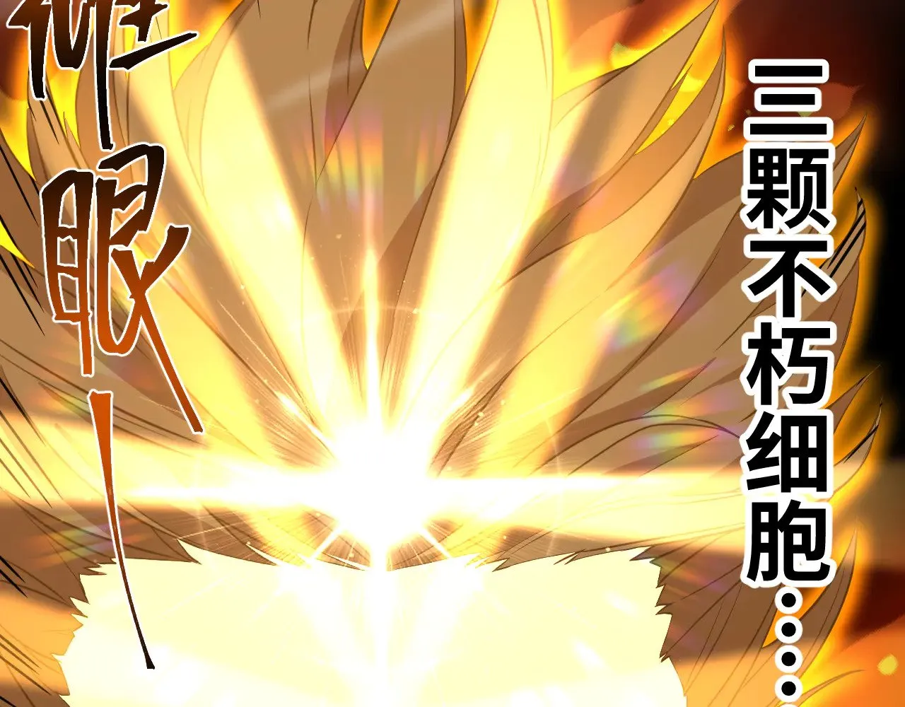 第135话 决斗！215