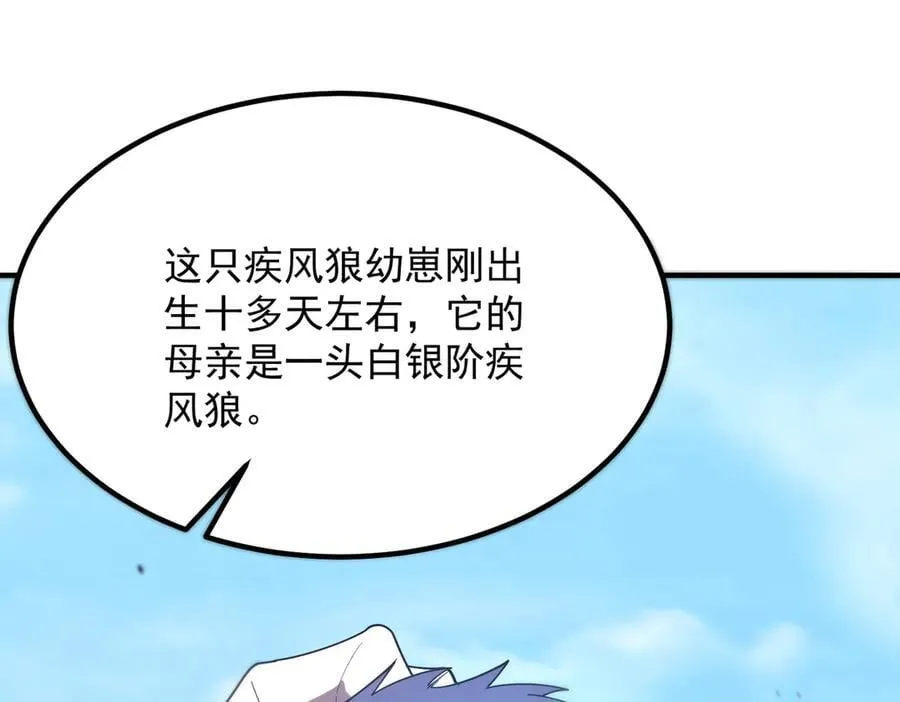 第27话 史诗阶魔宠113