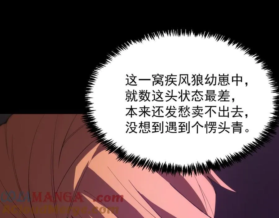 第27话 史诗阶魔宠140