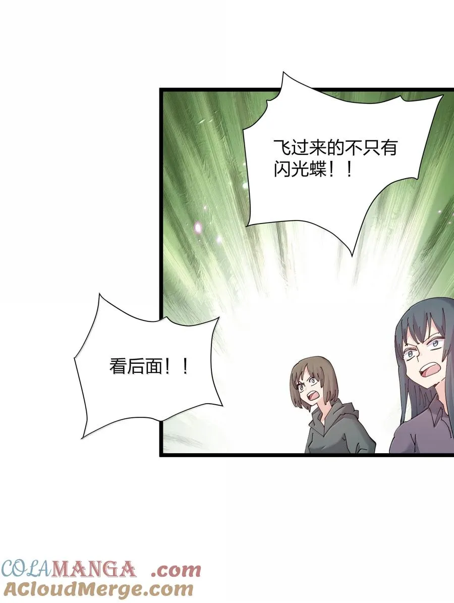 81 奇迹再现6
