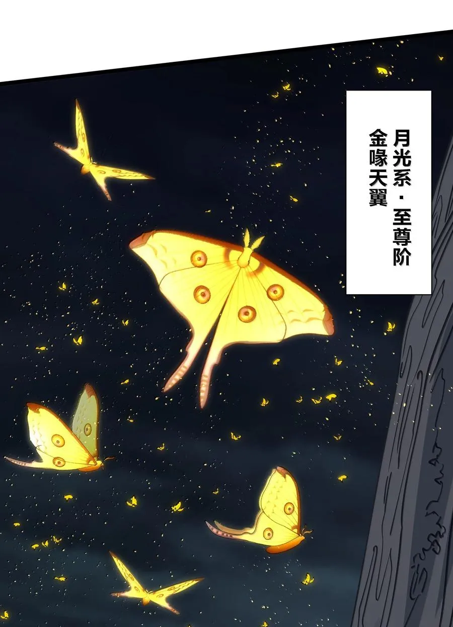 81 奇迹再现16
