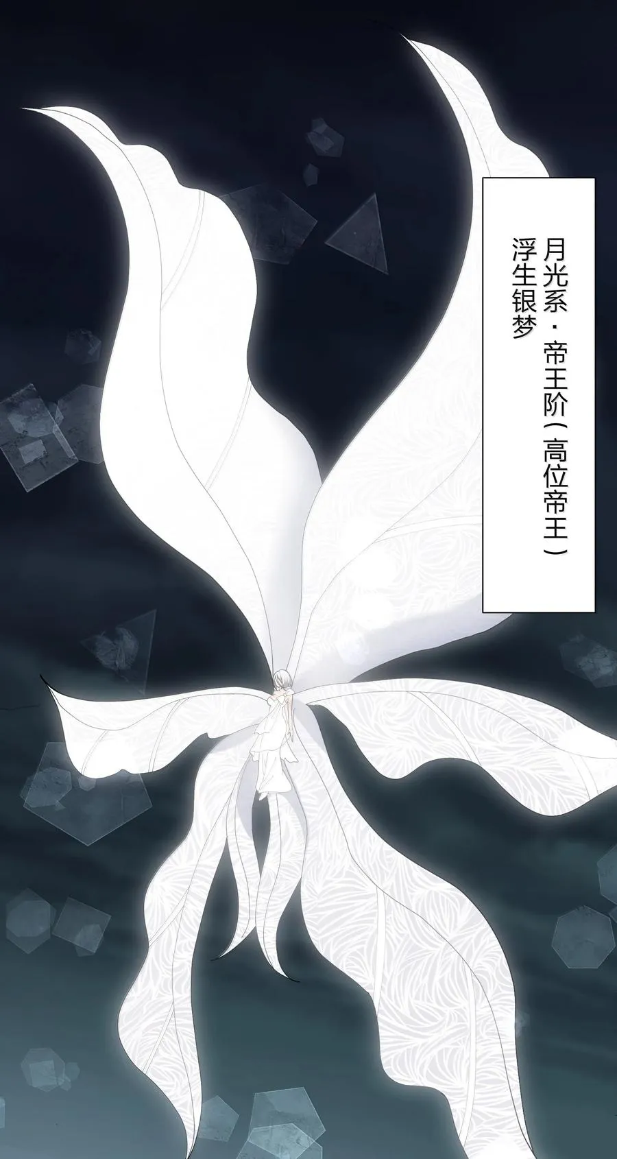 81 奇迹再现26