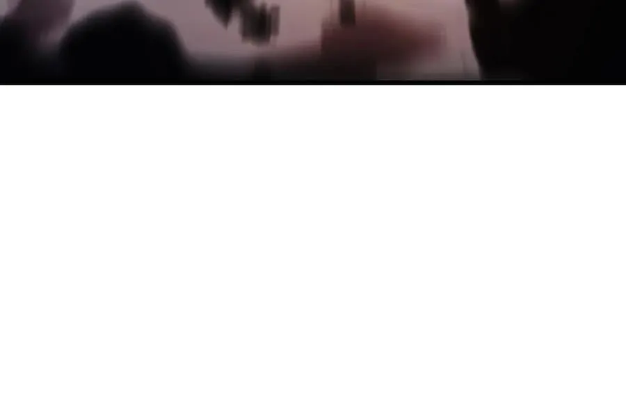 3194